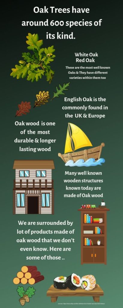 109 Incredible Oak Trees Uses & Benefits You Must Know | destinedto.com